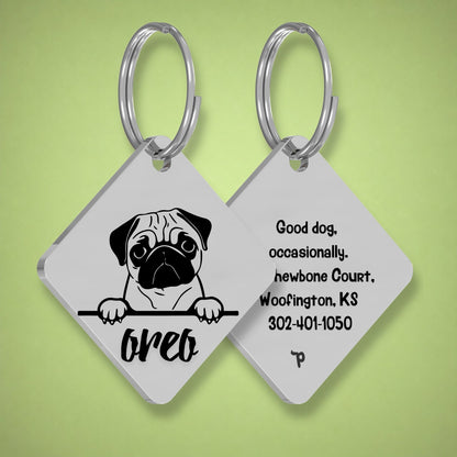 Breed Dog Tag - Pug Unique Dog Tag with Peek-a-Boo Portrait