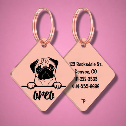 Breed Dog Tag - Pug Unique Dog Tag with Peek-a-Boo Portrait