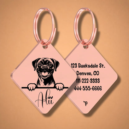 Breed Dog Tag - Puggle Unique Dog Tag with Peek-a-Boo Portrait