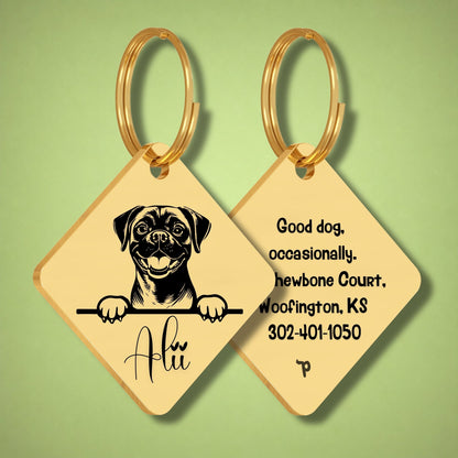 Breed Dog Tag - Puggle Unique Dog Tag with Peek-a-Boo Portrait
