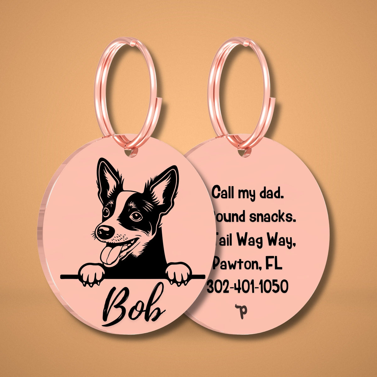 Breed Dog Tag - Rat Terrier Unique Dog Tag with Peek-a-Boo Portrait