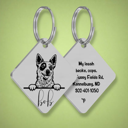 Breed Dog Tag - Red Heeler Unique Dog Tag with Peek-a-Boo Portrait