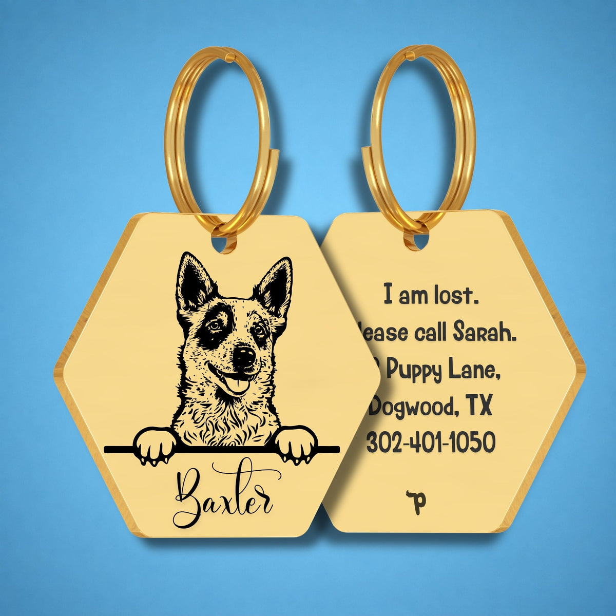 Breed Dog Tag - Red Heeler Unique Dog Tag with Peek-a-Boo Portrait