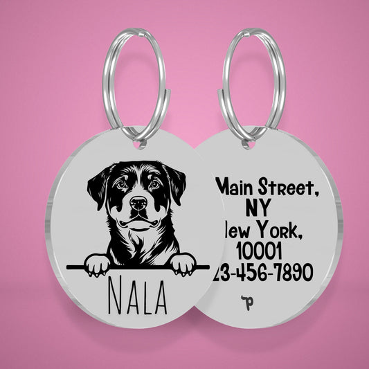 Breed Dog Tag - Rottweiler Unique Dog Tag with Peek-a-Boo Portrait (Style 2)