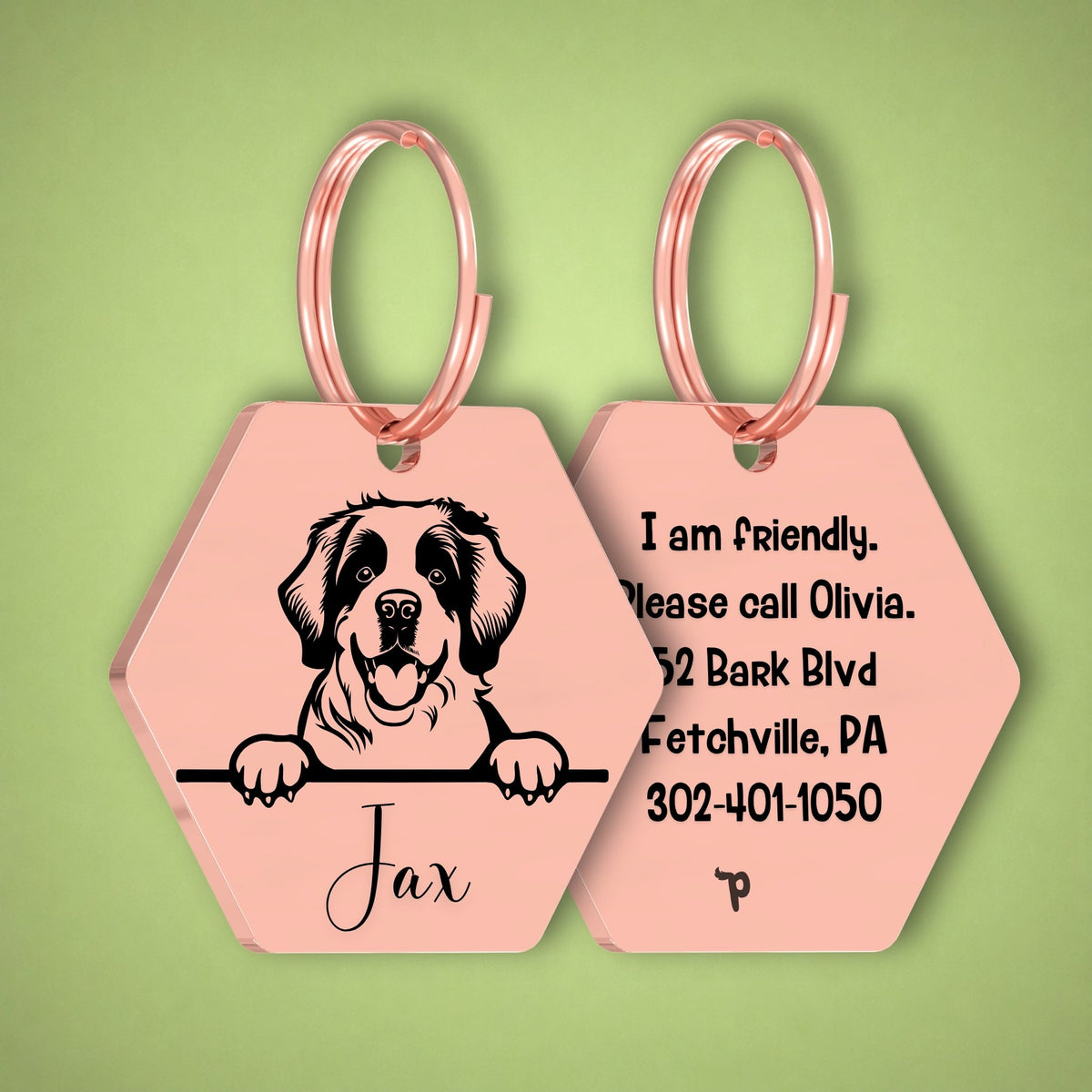 Breed Dog Tag - Saint Bernard Unique Dog Tag with Peek-a-Boo Portrait