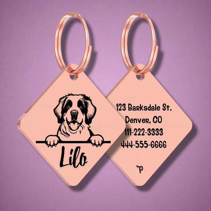 Breed Dog Tag - Saint Bernard Unique Dog Tag with Peek-a-Boo Portrait