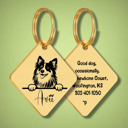Breed Dog Tag - Shetland Sheepdog Unique Dog Tag with Peek-a-Boo Portrait