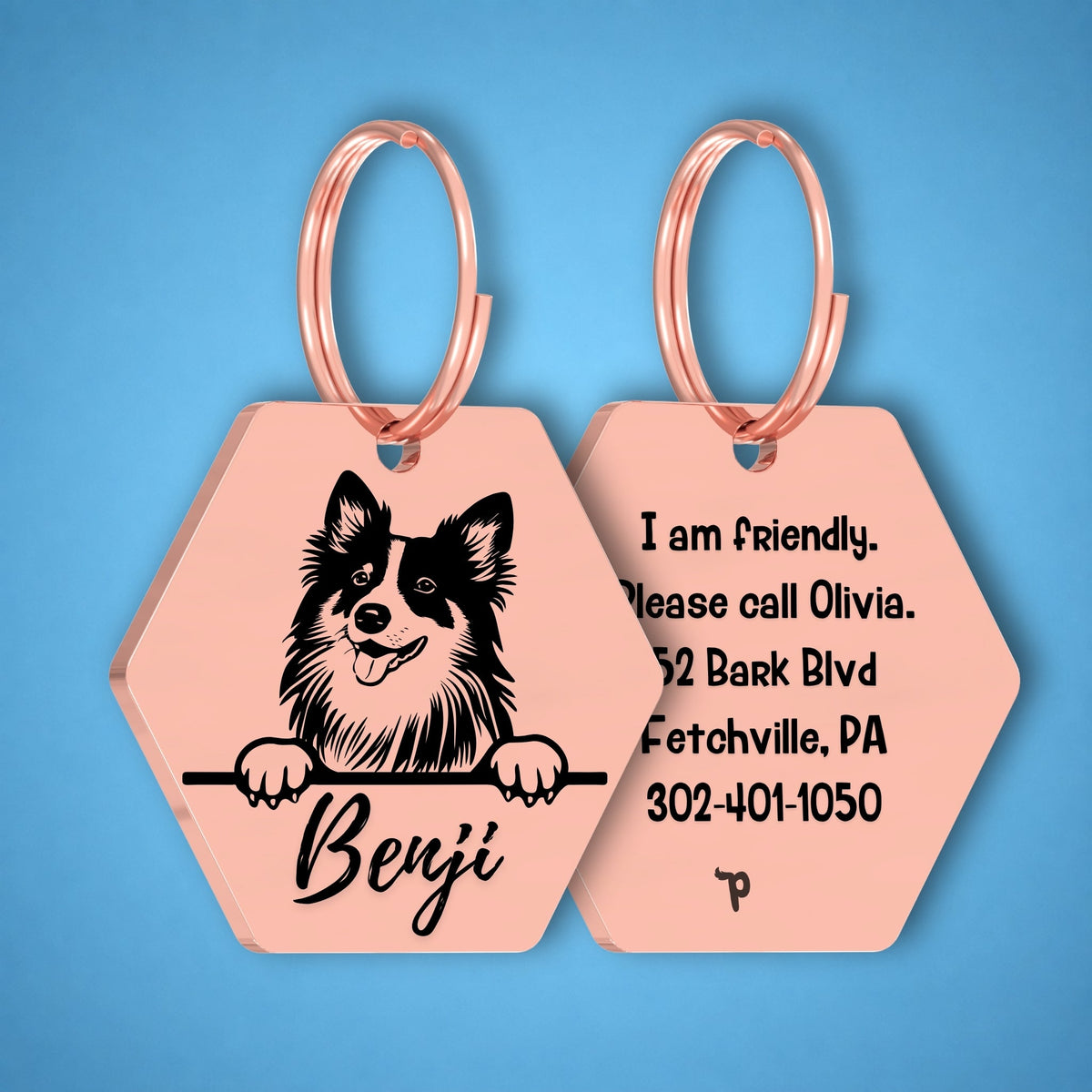 Breed Dog Tag - Shetland Sheepdog Unique Dog Tag with Peek-a-Boo Portrait
