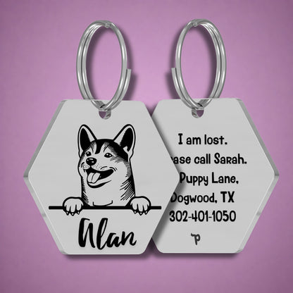 Breed Dog Tag - Shih Tzu Unique Dog Tag with Peek-a-Boo Portrait