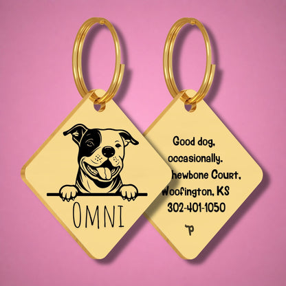 Breed Dog Tag - Staffordshire Bull Terrier Unique Dog Tag with Peek-a-Boo Portrait