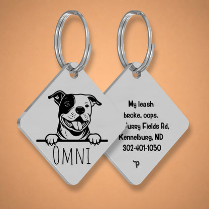 Breed Dog Tag - Staffordshire Bull Terrier Unique Dog Tag with Peek-a-Boo Portrait