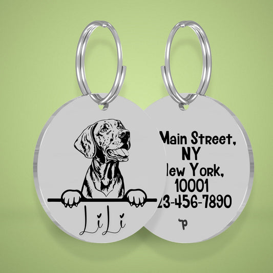Breed Dog Tag - Vizsla Unique Dog Tag with Peek-a-Boo Portrait