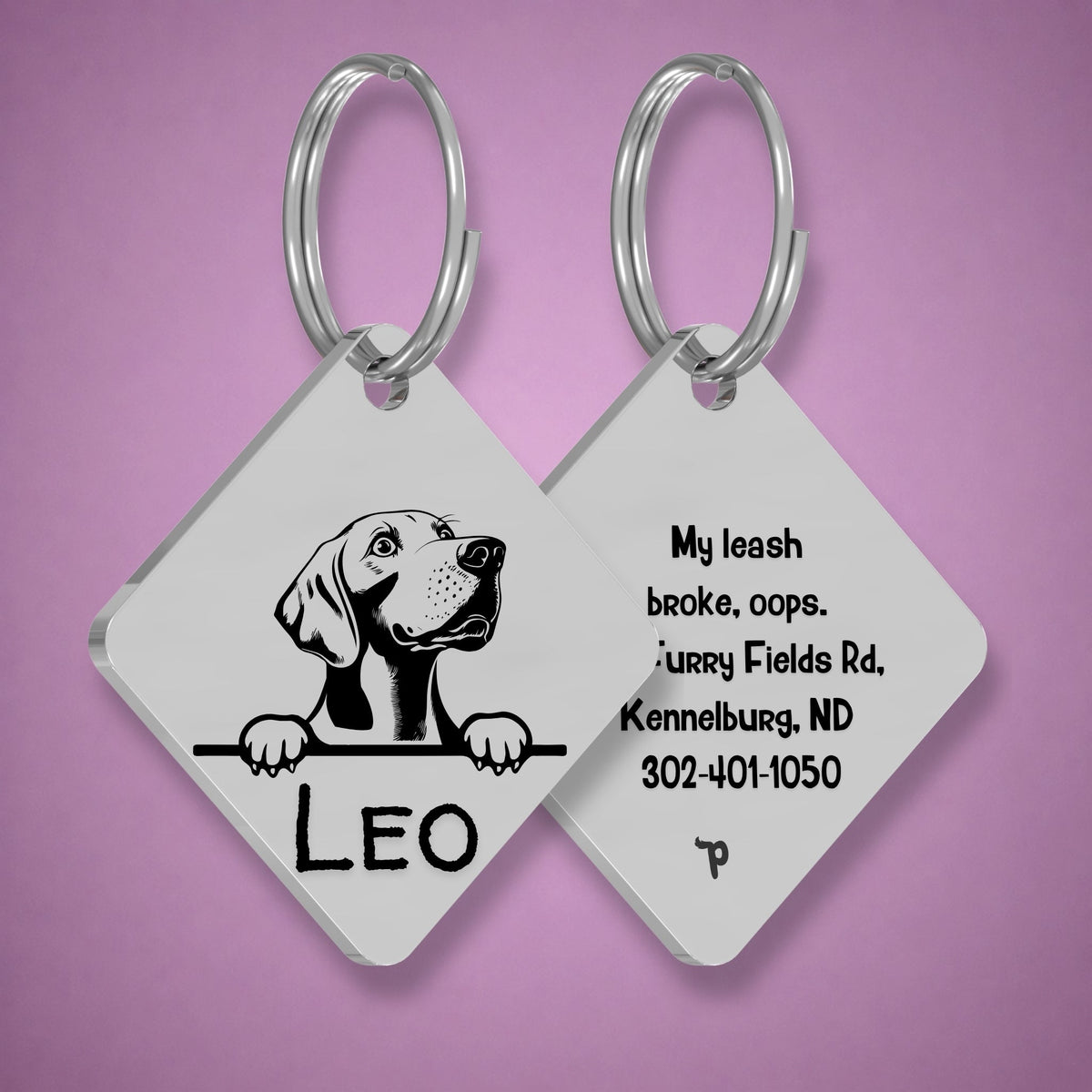 Breed Dog Tag - Weimaraner Unique Dog Tag with Peek-a-Boo Portrait