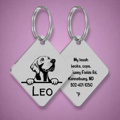 Breed Dog Tag - Weimaraner Unique Dog Tag with Peek-a-Boo Portrait
