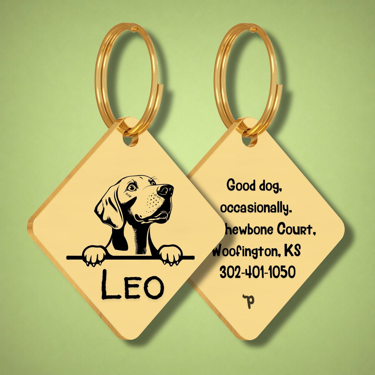 Breed Dog Tag - Weimaraner Unique Dog Tag with Peek-a-Boo Portrait