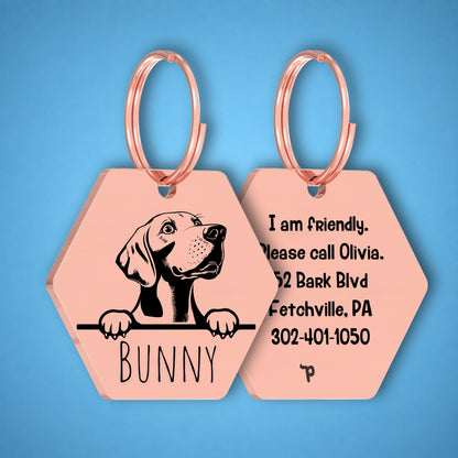 Breed Dog Tag - Weimaraner Unique Dog Tag with Peek-a-Boo Portrait