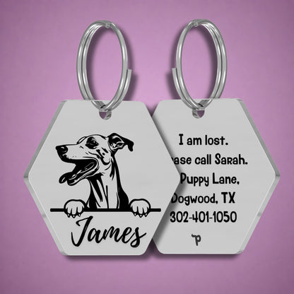 Breed Dog Tag - Whippet Unique Dog Tag with Peek-a-Boo Portrait