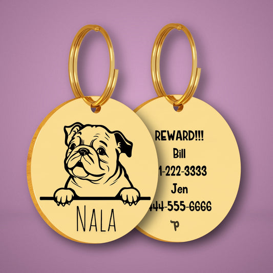 Bulldog Style 3 personalized dog tag, circle shape in gold stainless steel with peek-a-boo portrait