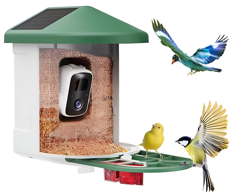Pet accessories