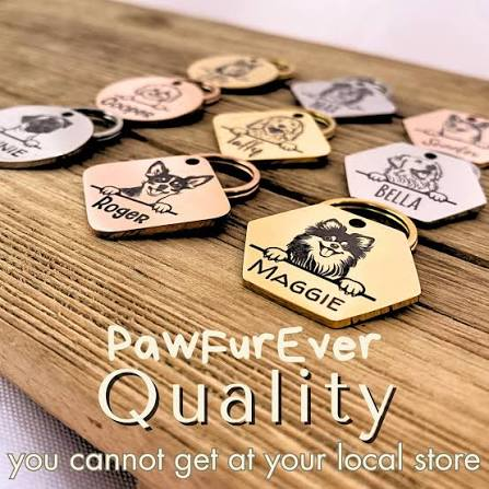 Pawfurever Instagram post 8