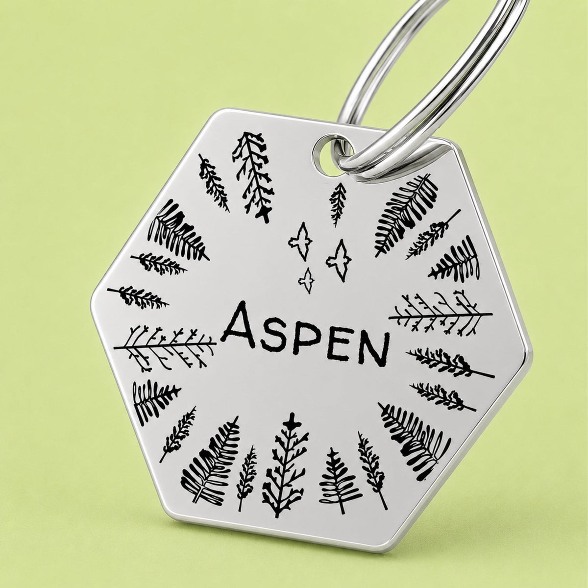Engraved Tags - Fly High Engraved Dog Tag