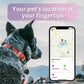 Waterproof AirTag collar holder shown on a dog wearing the collar
