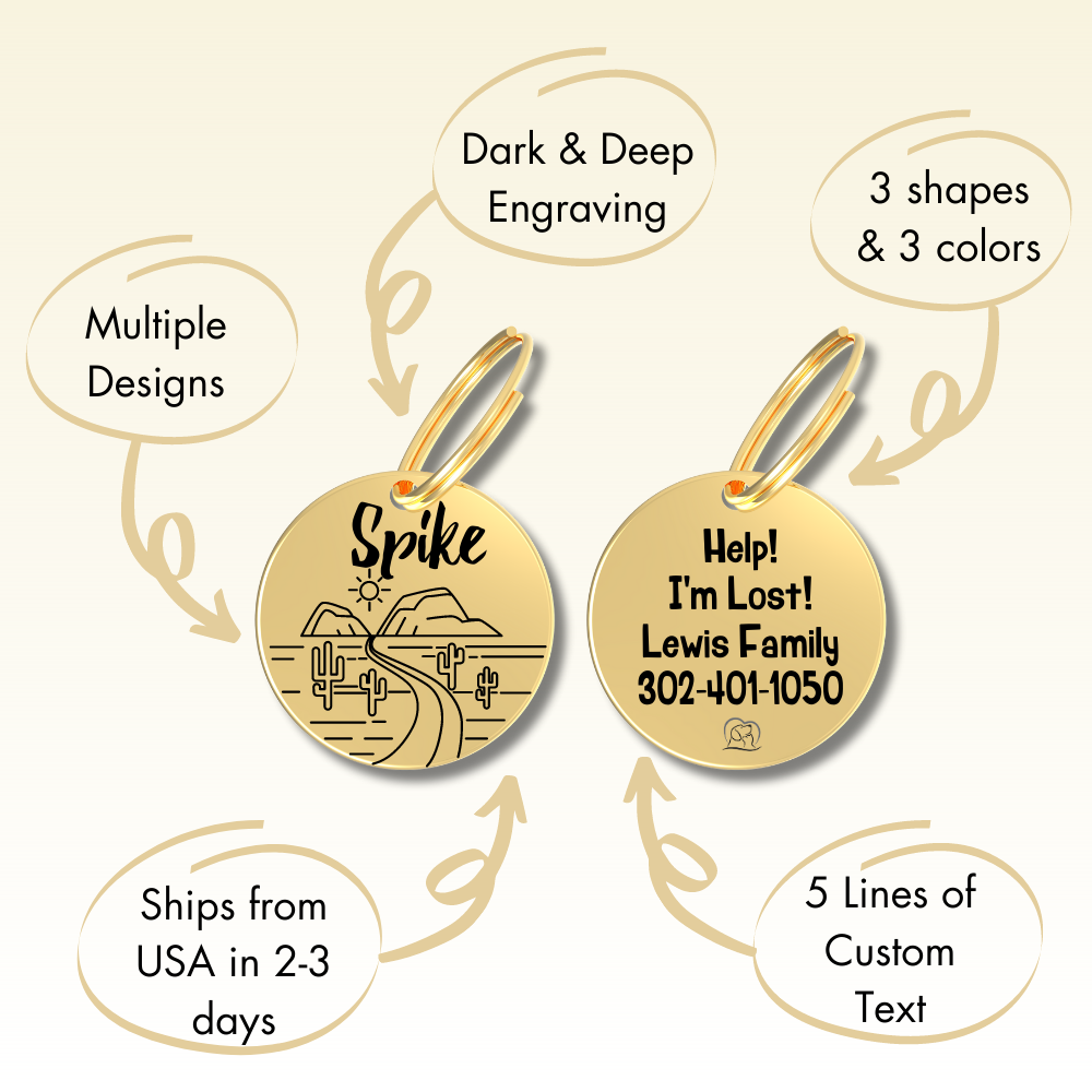 Main Features of tags