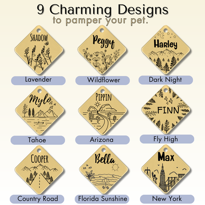 Design options