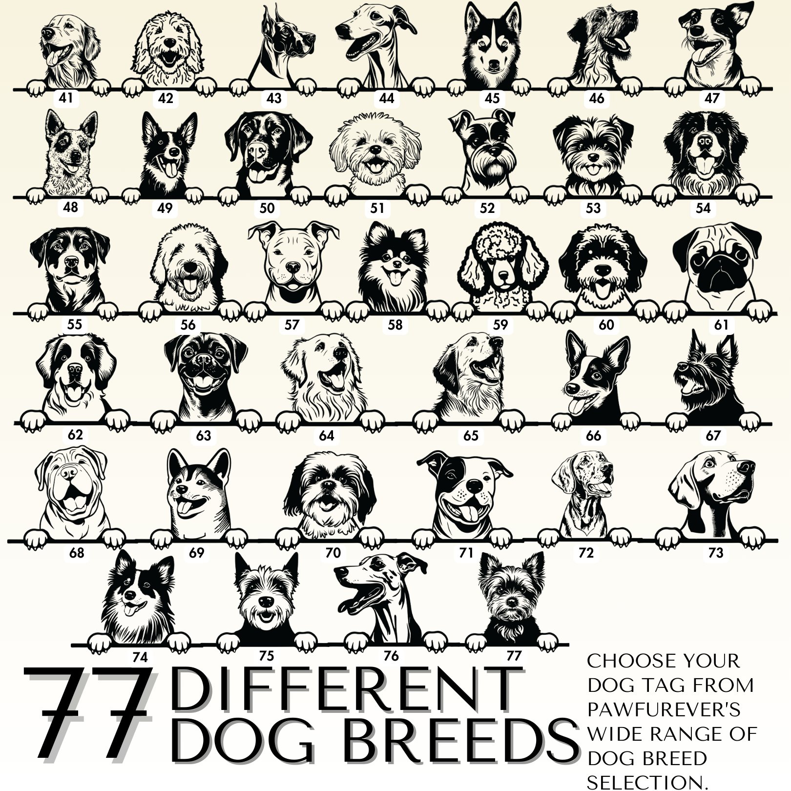 Breed Dog Tag - Personalized Breed Dog Tag (Australian Sheph)