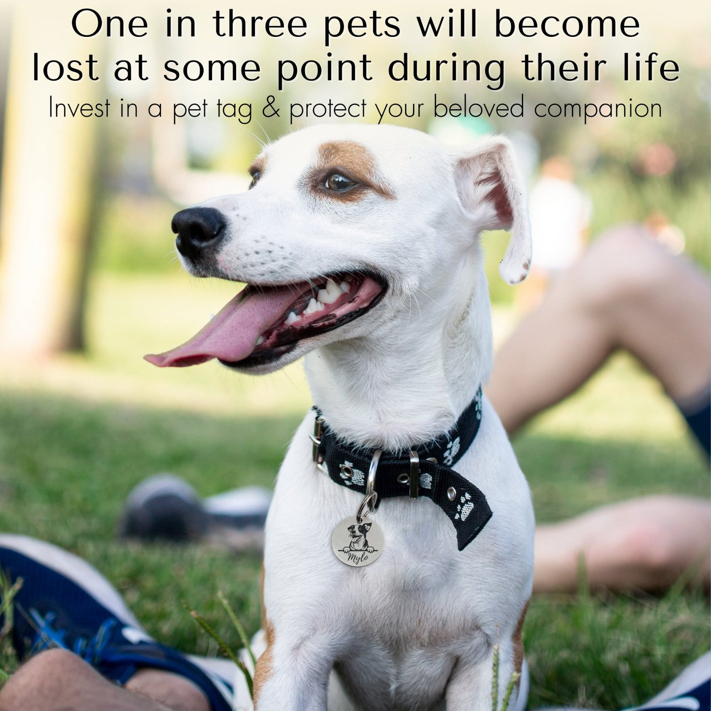 Breed Dog Tag - Personalized Breed Dog Tag (Beagle)