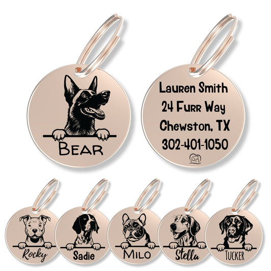 Breed Dog Tag - Personalized Breed Dog Tag (Belgian Malinois)