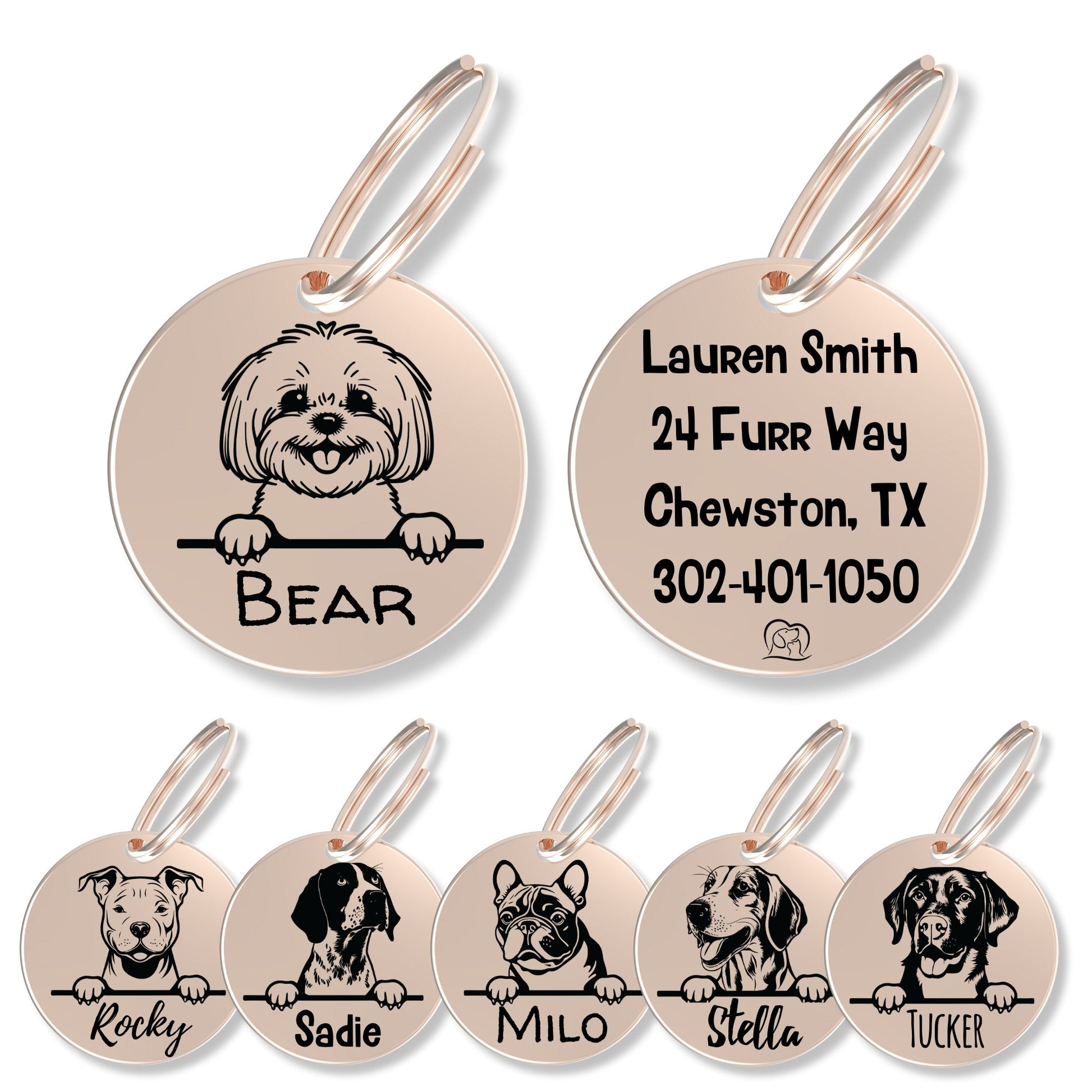 Breed Dog Tag - Personalized Breed Dog Tag (Bichon)