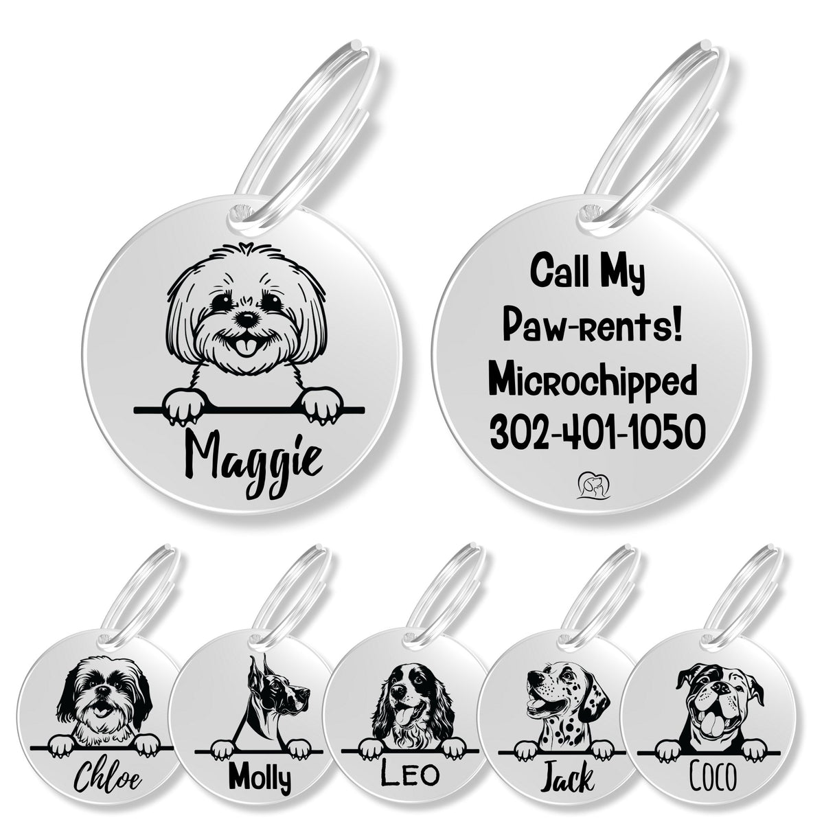 Breed Dog Tag - Personalized Breed Dog Tag (Bichon)