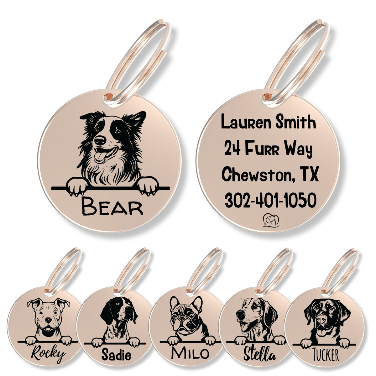 Breed Dog Tag - Personalized Breed Dog Tag (Border Collie)