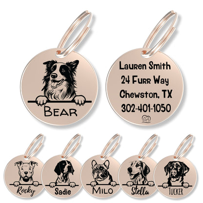 Breed Dog Tag - Personalized Breed Dog Tag (Border Collie)
