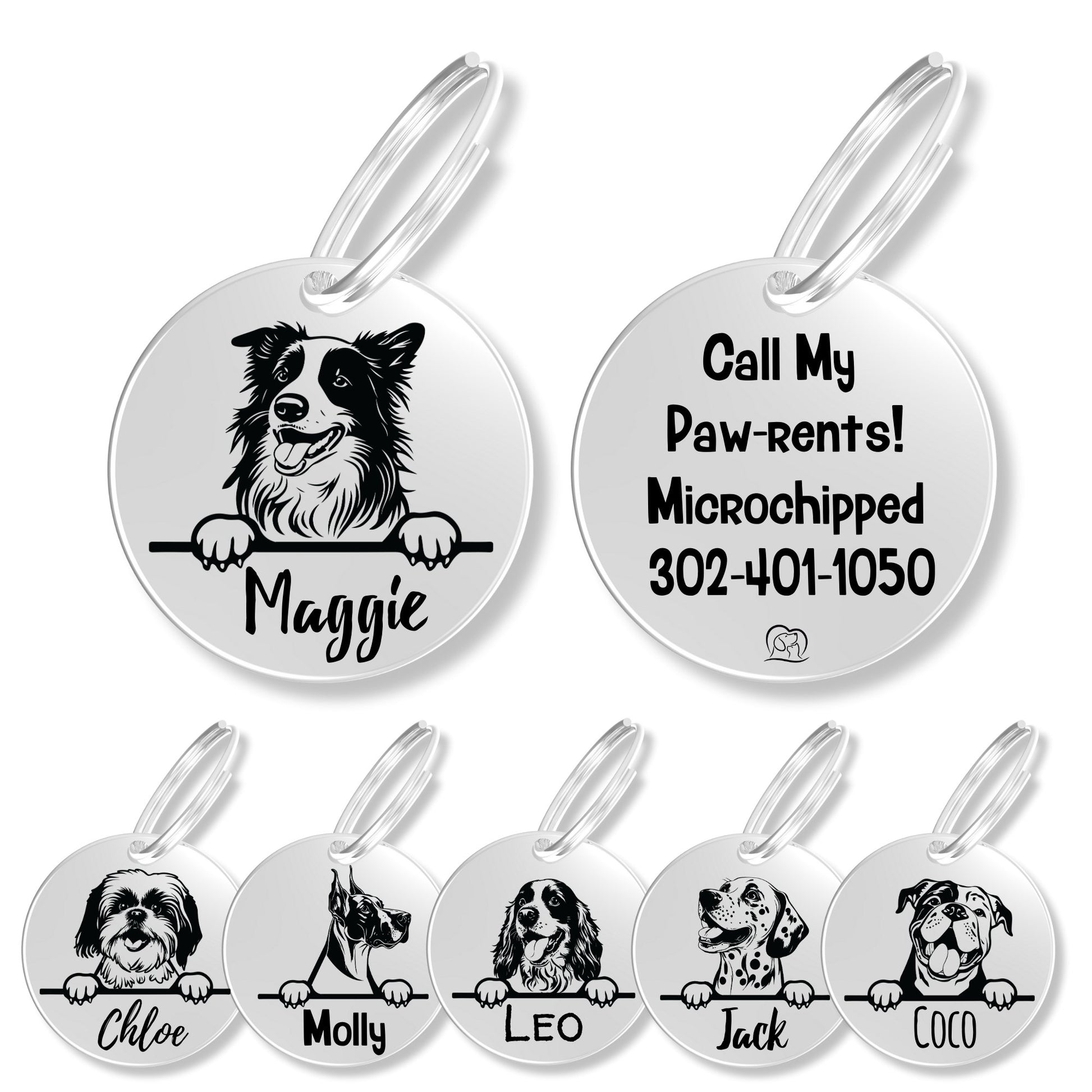 Breed Dog Tag - Personalized Breed Dog Tag (Border Collie)