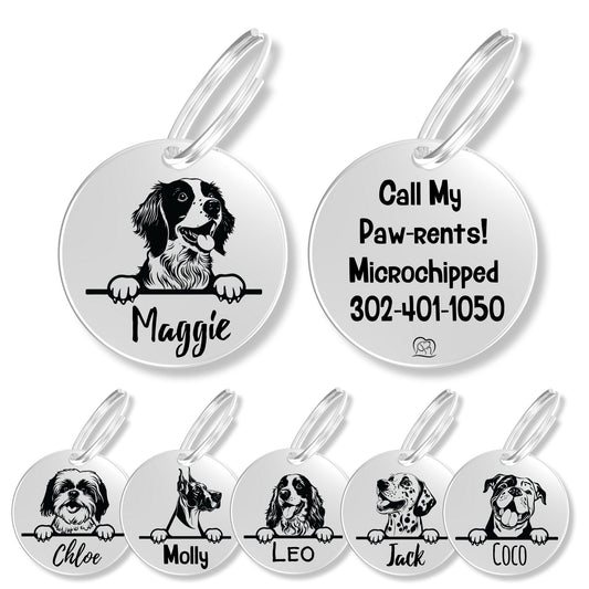 Breed Dog Tag - Personalized Breed Dog Tag (Brittany Spaniel)