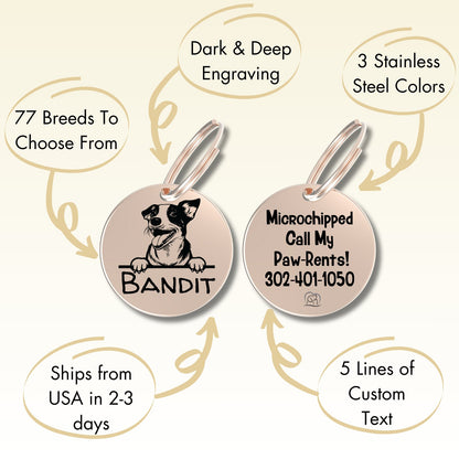 Breed Dog Tag - Personalized Breed Dog Tag (Brittany Spaniel)