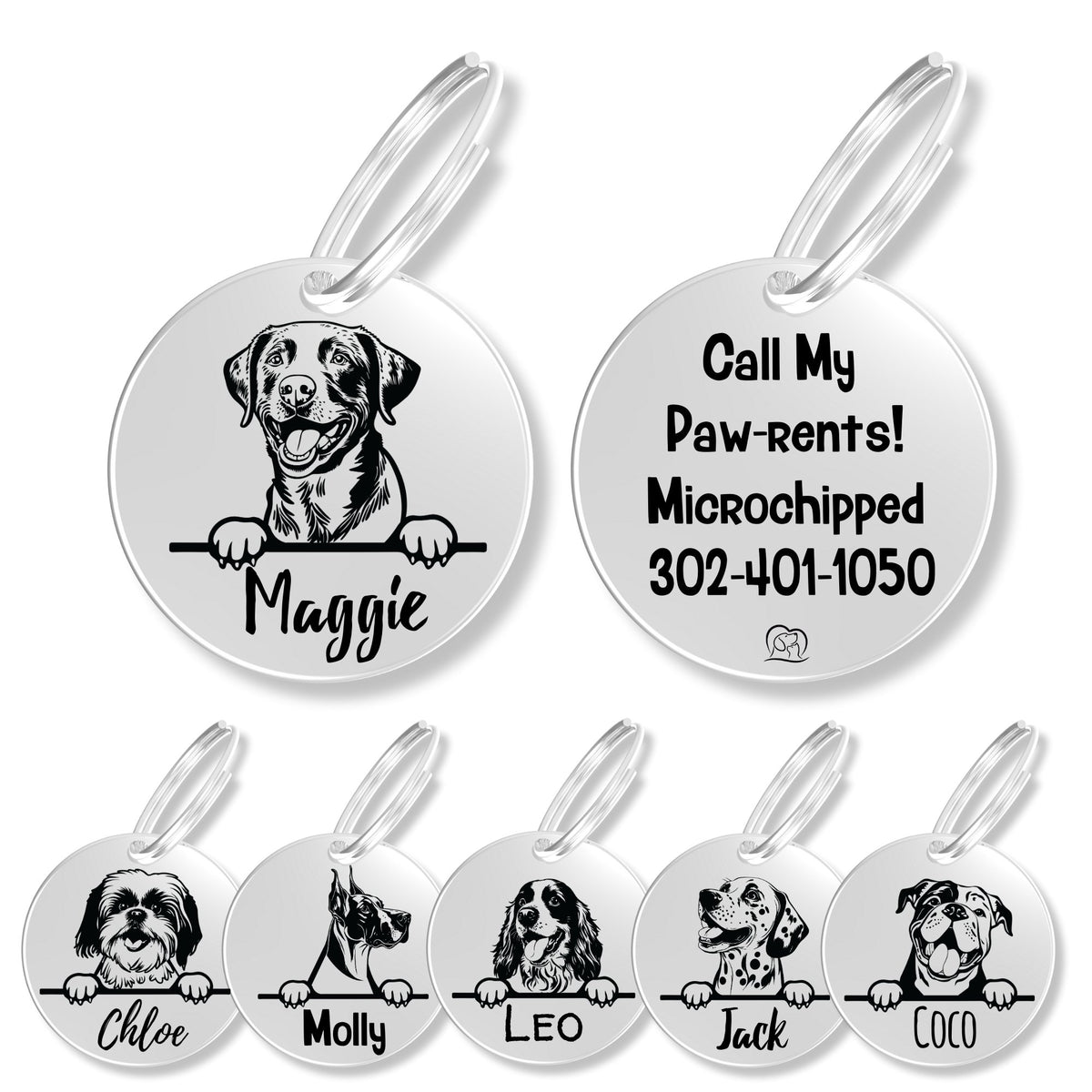 Breed Dog Tag - Personalized Breed Dog Tag (Chesapeak Bay Re)