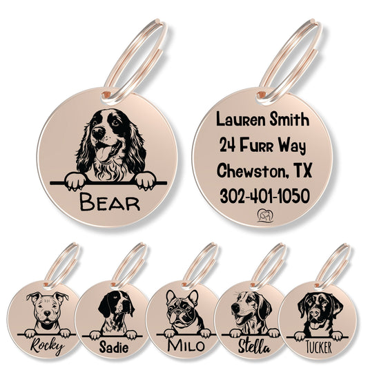 Breed Dog Tag - Personalized Breed Dog Tag (Continental Bull)