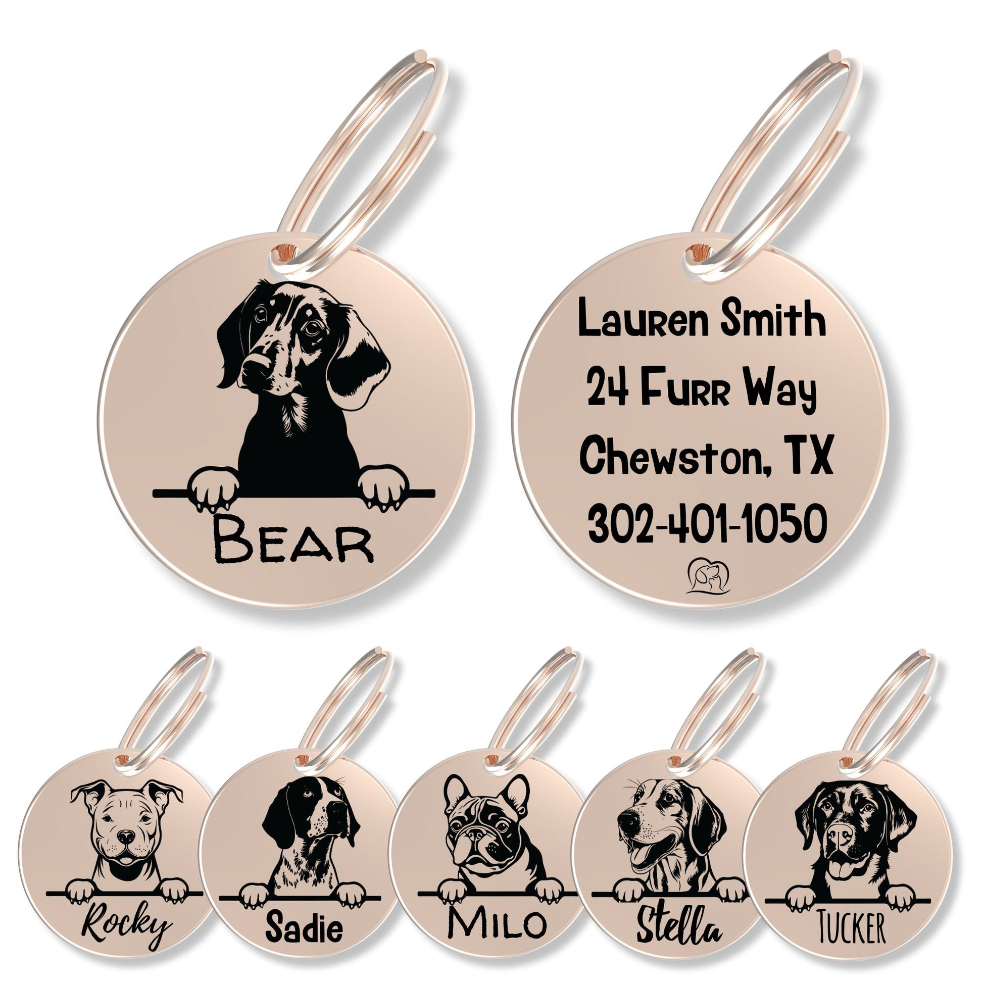 Breed Dog Tag - Personalized Breed Dog Tag (Dachshund)