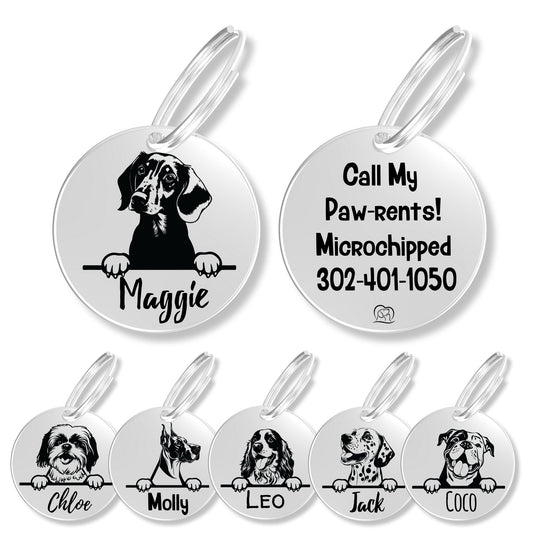 Breed Dog Tag - Personalized Breed Dog Tag (Dachshund)