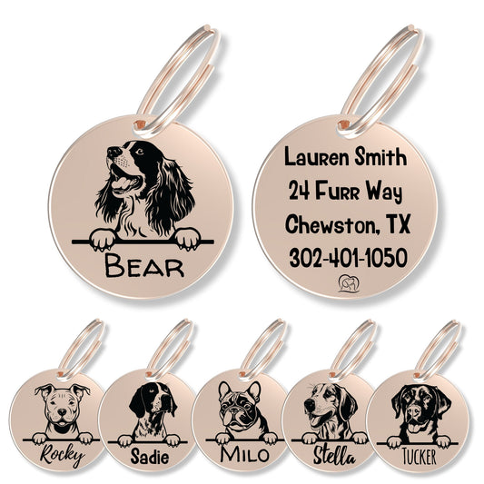 Breed Dog Tag - Personalized Breed Dog Tag (English Springer)