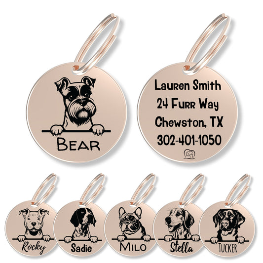 Breed Dog Tag - Personalized Breed Dog Tag (Mini Schnauzer)