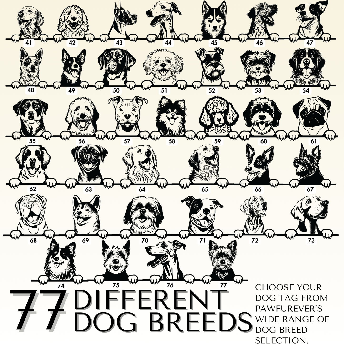 Breed Dog Tag - Personalized Breed Dog Tag (Shar Pei)