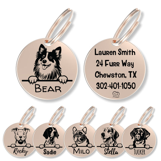 Breed Dog Tag - Personalized Breed Dog Tag (Shtlan Sheepdog)