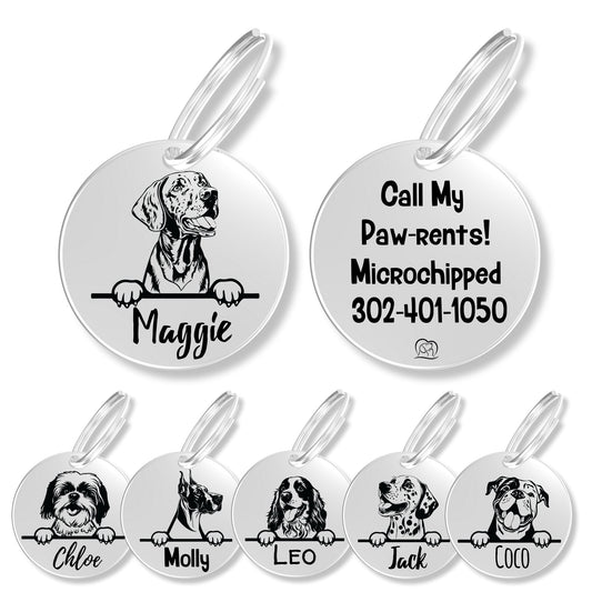 Breed Dog Tag - Personalized Breed Dog Tag (Vizsla)