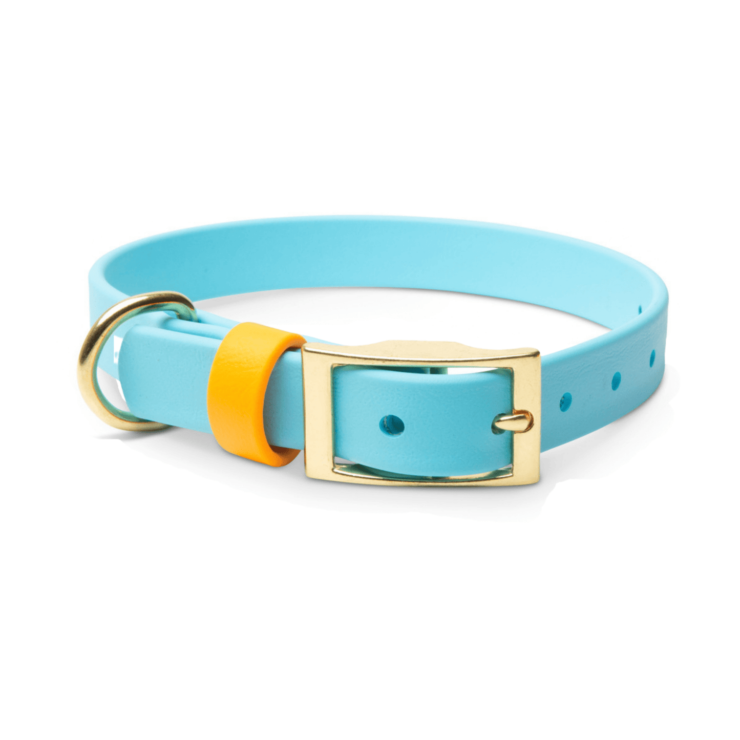 Collars - Biothane Dog Collars with Name Plate (Blue/Orange)