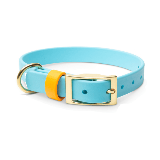 Collars - Biothane Dog Collars with Name Plate (Blue/Orange)
