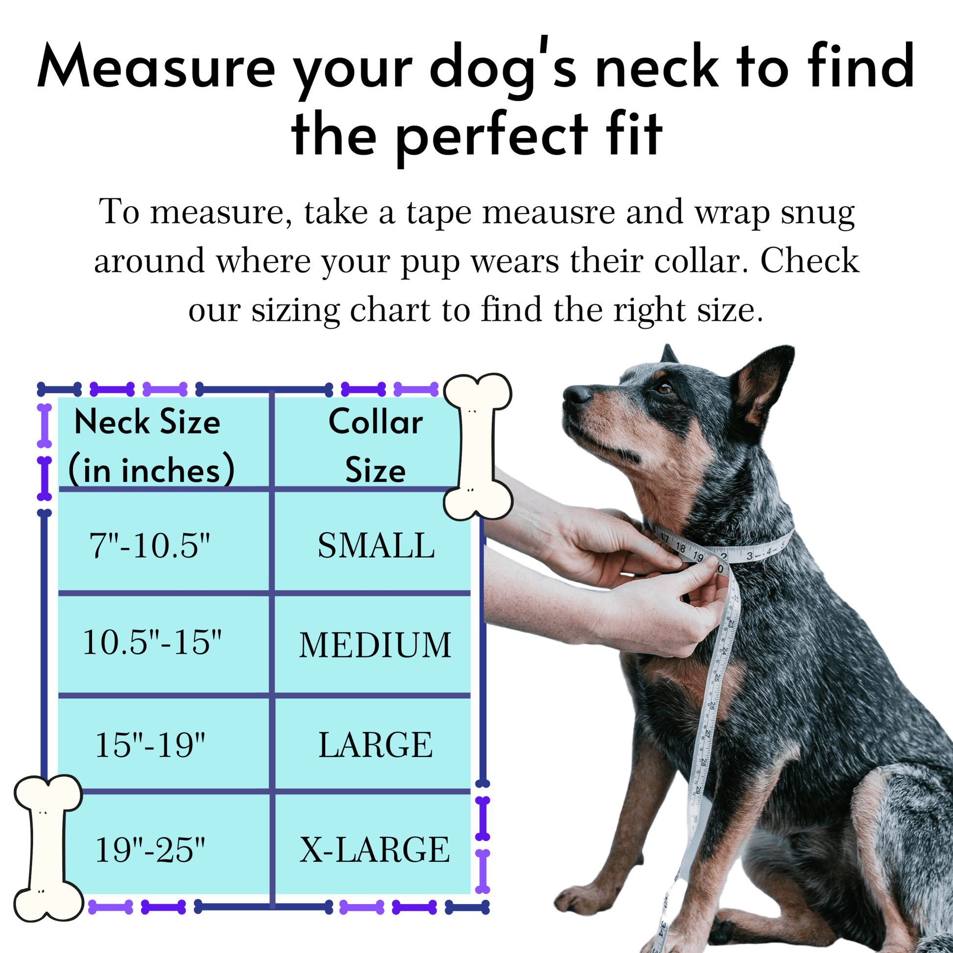 Collars - Biothane Dog Collars with Name Plate (Blue/Orange)